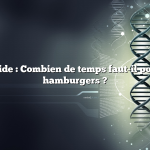 Réponse rapide : Combien de temps faut-il pour fumer des hamburgers ?